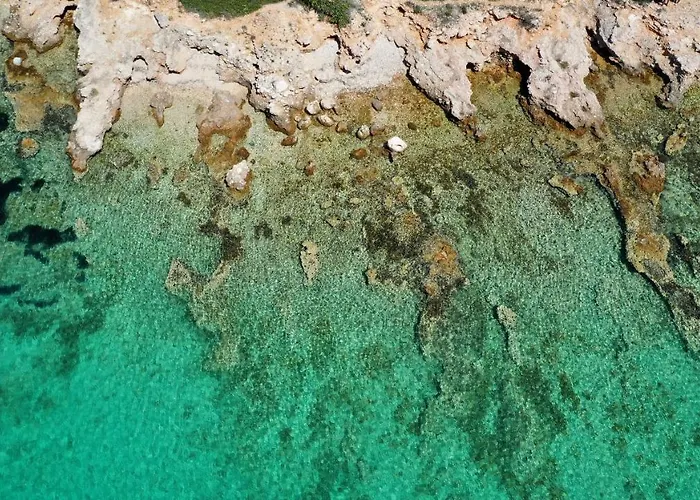 Dom wakacyjny House Mirta *